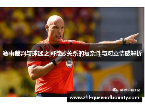 赛事裁判与球迷之间微妙关系的复杂性与对立情感解析